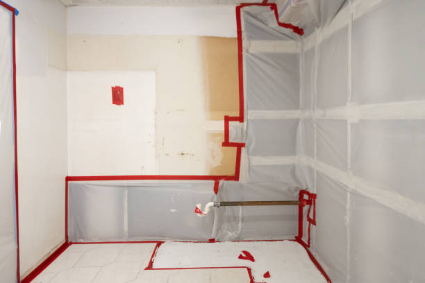 Professional Mold Removal in West Babylon, NY